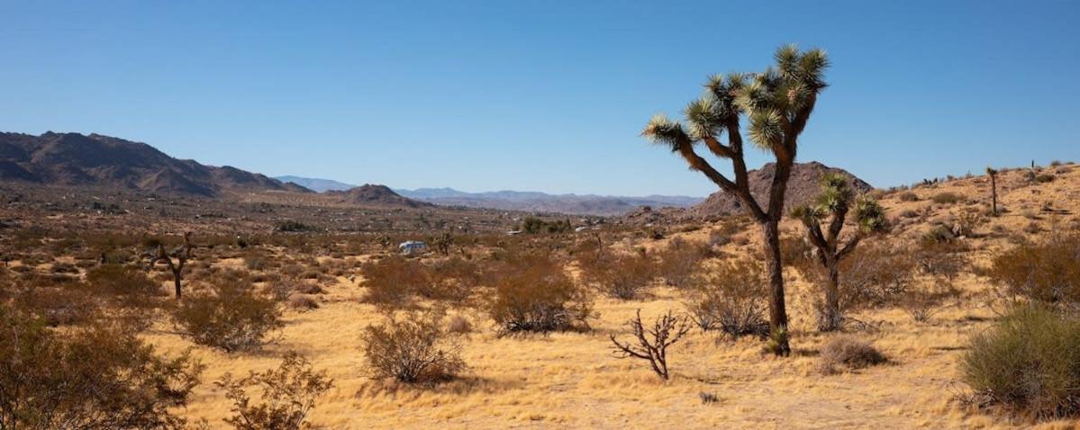 Shelter 1- A Classic- At Joshua Tree Park Entrance المظهر الخارجي الصورة