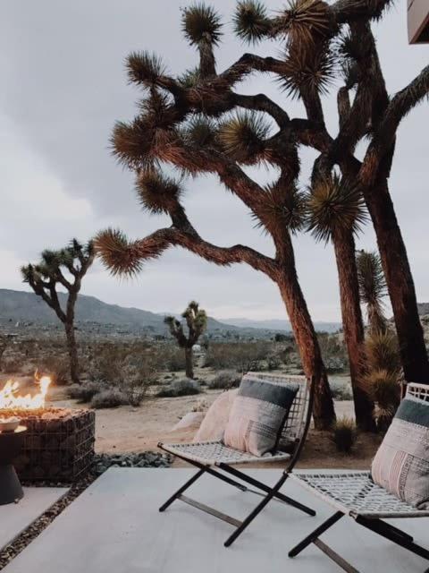 Shelter 1- A Classic- At Joshua Tree Park Entrance المظهر الخارجي الصورة