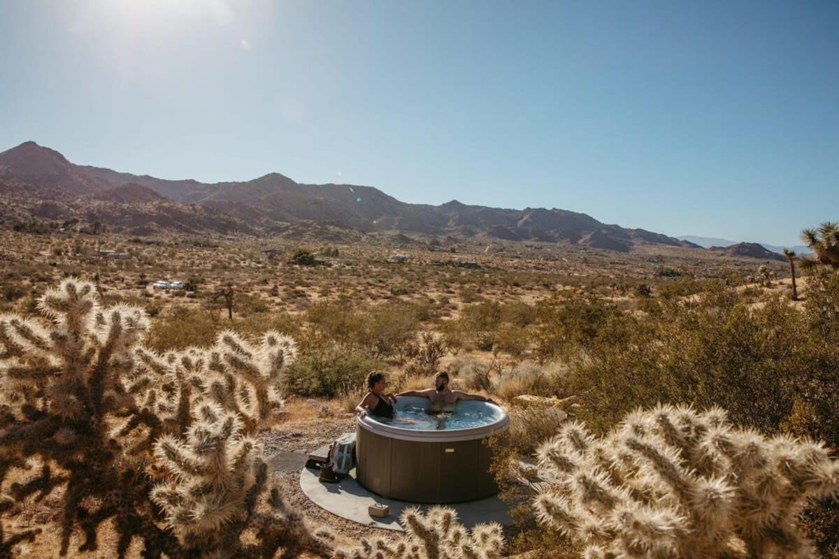 Shelter 1- A Classic- At Joshua Tree Park Entrance المظهر الخارجي الصورة